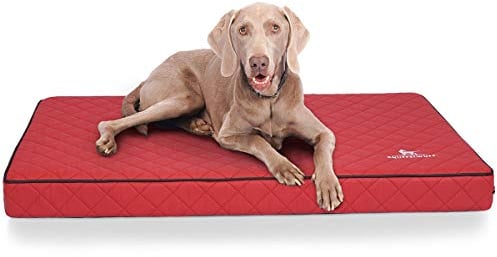 Knuffelwuff Orthopädische Hundematte Juna Hundebett aus laser gestepptem Kunstleder waschbar Hunde ortho orthopädisch memory XXL 110x66cm Rot