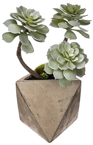 Atmosphera - Plante grasse Artificielle - Pot en Ciment - H30 cm