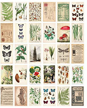 Wintertime Crafts Postkarten-Set, 30 Stück, Retro-Stil, Botanisch, Natur und Ephemera Postkarten