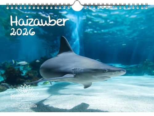 Haizauber DIN A4 Kalender für 2026 Hai - Geschenkset Inhalt: 1x Kalender, 1x Weihnachtsanhänger (insgesamt 2 Teile)