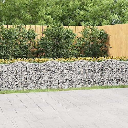 Solivagant Lit surélevé à gabions arqué 600x50x100 cm Fer galvanisé,(72.75 KG)