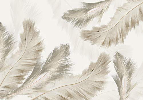 wandmotiv24 Fototapete Federn, XXL 400 x 280 cm - 8 Teile, Wanddeko, Wandbild, Wandtapete, Beige, Weiß, Barun M1859