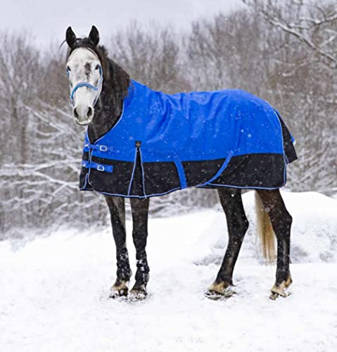 Amesbichler Reitsport Tyrex 1200D High Neck Outdoordecke 300 g wasserdicht atmungsaktiv Gehfalten Aisance