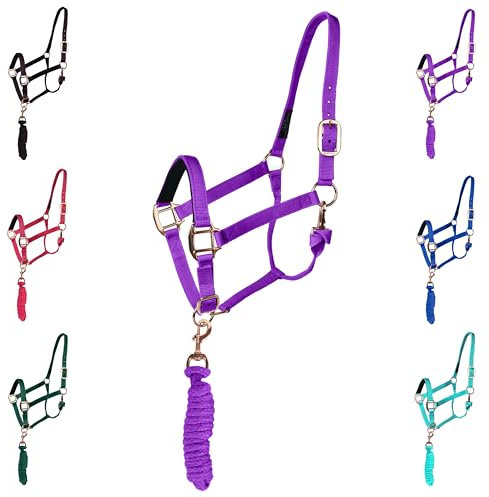 Majestic Ally Halfter mit Führstrick für Pferde – verstellbares Kinn und Krone – gerollter Halsriegel mit austauschbarem Druckknopf – gepolstertes Nasenriemen – robustes Roségold-Finish – voll (lila,