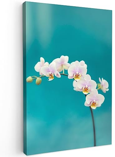 MuchoWow© Stampa Foto su Tela 60x90 cm Quadro Moderno Soggiorno Quadretti da Parete Decorazioni Casa Orchidea - con Fiori - Pianta - Bianco - Viola