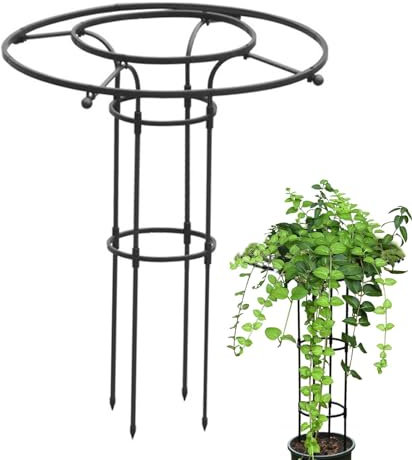Rankobelisk Spalier 90cm Rankhilfe Rankgitter aus Kunststoffbeschichtetes Stahlrohr Garten Decor Trellis für Kletterpflanzen, Kletterhilfe, Ballon, Rosen und Blumen