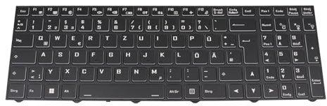 MEDION 6-80-PC510-07A-1 Original Tastatur DE (deutsch) schwarz/weiß/schwarz matt mit Backlight für Erazer P15609 (NH55RAQ-M1), Defender P10 (NH77DDW-M), E15 (NH77EKQ-M), Deputy P25 (NH55EPY)