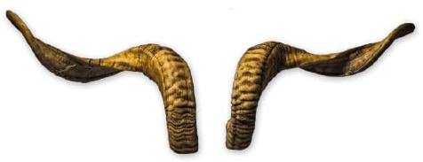 Generisch Naturgetreue Tier-Kunsthörner, handgefertigt, robust & leicht – Ideal für Krampus, Perchten, Partys & Themenveranstaltungen und Deko (Motes Masken)
