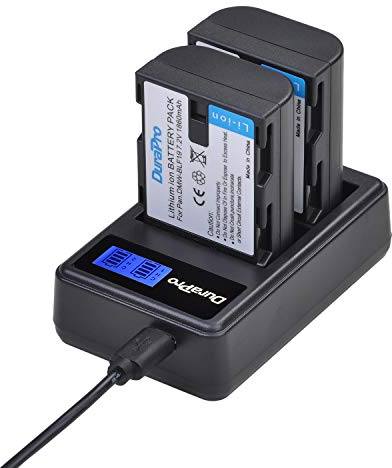 DuraPro Lot de 2 batteries 1860 mAh DMW-BLF19 DMW-BLF19E + chargeur rapide LCD double USB pour appareils photo Panasonic DMW-BLF19E DMW-BLF19 DMW-BLF19PP DMC-GH3, DMC-GH4, DC-GH5 G9