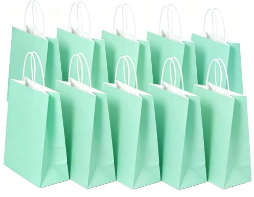 SHUBEIEUMI 10 Sacs Cadeaux en Kraft Avec Poignées,Bleu Ciel | 21x15x8 cm Petite Taille Sacs en Papier pour Anniversaires, Mariages