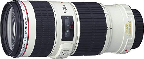 Canon EF 70-200mm f/4L IS USM Zoom Teleobjektiv mit Optischer Bildstabilisierung und Kompaktem Design