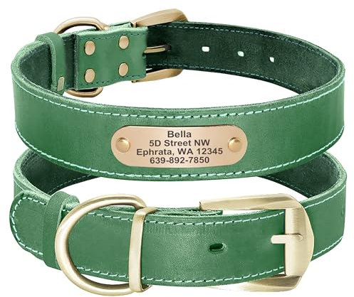 Didog - Collares para Perro de Piel auténtica con Placa de Nombre grabada, Collar de Perro de Cuero Suave Personalizado con Etiqueta de identificación Personalizada
