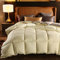 Winter Bettdecke-4 Seasons Quilted-Luxus GäNsedaunen Weiche Bettdecke Decke KöNig KöNigin ZwillingsgrößE TröSter BettwäSche FüLlung Super Warm Steppdecke-Vater Geschenk