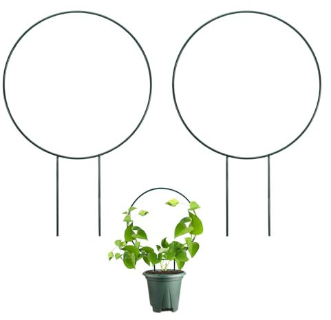 Huakaile 2 Pack Small Trellis for Potted Plants Climbing, 13.7 Outdoor Indoor Plant Trellis, Stackable Garden Plant Climber Support, Metal Houseplant Trellis Stakes for Vine Ivy Flowerpot (Round)