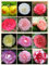 60 semillas de camelia, camelia china, el lugar de nacimiento de la camelia, coloridas y resistentes, de hoja perenne durante todo el año, Precioso tanto en interior como en exterior.