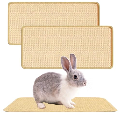 MENUY Lot de 2 tapis à gratter pour lapins - Jouet à gratter et à mâcher en sisal naturel - Tapis de cage de lapin pour mordre, dormir et nicher (40 x 20 cm)