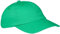 Enter the Complex® Dad Hat, Baseball Cap, Low Profile, weiches Kopfteil, 100% Pre-Washed Cotton Twill, Größenverstellbar, Grün