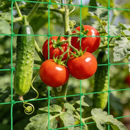 Red para Plantas Trepadoras, 0.9 x 1.8M Malla para Plantas Trepadoras, Red Enredadera Malla Entutorar Guisantes, Red de Enrejado Jardin, Red de Jardin para Pepino, Tomates, Flores, Verduras, Frutas