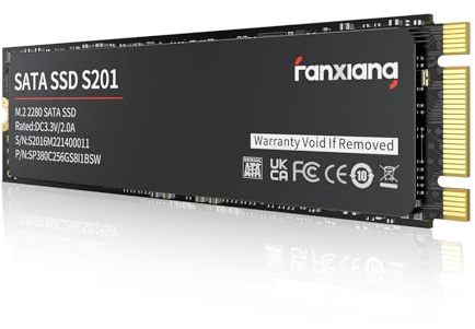 fanxiang S201 SSD M.2 SATA 128Go, M2 2280 SATA III 6 Go/s, Jusqu'à 550 Mo/s Lecture, 420 Mo/s Écriture, Cache SLC, 3D NAND, Disque Dur Interne Compatible PC Portable & Desktop (M.2 SATA, 128GB)