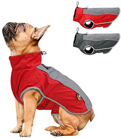 AXSPEED Hundebekleidung für Herbst und Winter, warm, gepolstert, wasserdichte Jacke (rot, S)