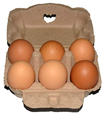 Cartone per 6 Uova - 5/10/20 Pezzi in Cartone Biodegradabile Riciclato, Grande Contenitore Vuoto per Uova Fresche, Adatto per Cucina, Fattoria, Negozio di Alimentari