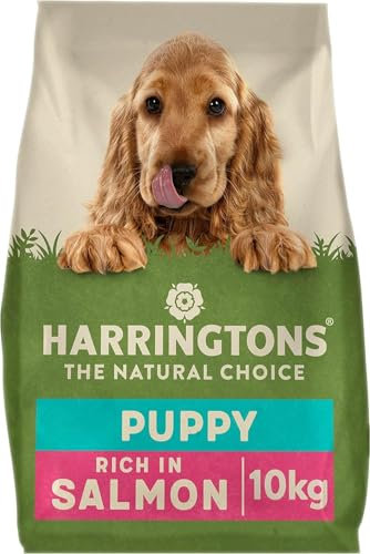 Harringtons Complete Puppy Trockenfutter für Hunde, Lachs und Reis, 10kg, Hergestellt aus rein Natürlichen Zutaten