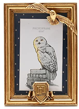 Widdop and Co Warner Bros. Harry Potter Alumni Goldener Bilderrahmen Hedwig