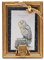 Widdop and Co Warner Bros. Harry Potter Alumni Goldener Bilderrahmen Hedwig