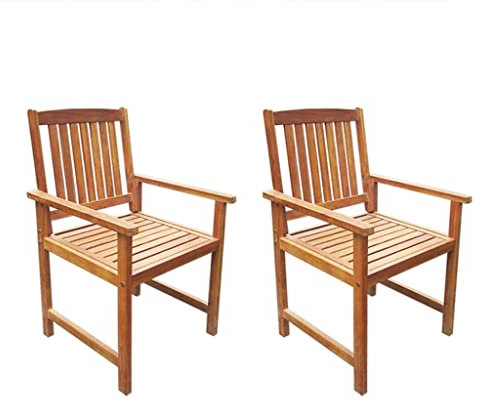 VidaXL extérieur Lot de 2 chaises de salle à manger en bois d'acacia massif Marron