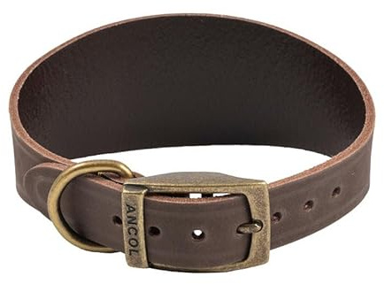 Ancol Timberwolf Leather Whippet Dog Collar in Sable - Top Grain Bridle Leather Comfortable Secure Pet Training Neckband - 30-34cm