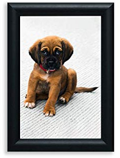 Artmaxx Bilderrahmen, Schwarz, A5, 2