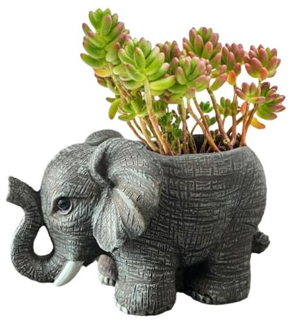 Wjwumha Pot de fleurs mignon éléphant, cactus, plantes grasses avec trou de drainage pour la maison et le bureau