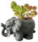 Wjwumha Pot de fleurs mignon éléphant, cactus, plantes grasses avec trou de drainage pour la maison et le bureau