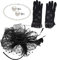 VANZACK Vintage Fascinator Hut Mit Netz Elegante Kopfbedeckung Für Partys Inklusive Kurzer Spitzenhandschuhe Und Perlenkette Für Hochzeiten Und Tee Partys