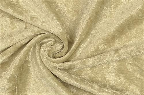 Pannesamt Stoff Meterware für Deko, Basteln und Bekleidung, 0,5 Meter - 147 cm Breit - Samt ähnliche Oberfläche Stoffe (Champagner)
