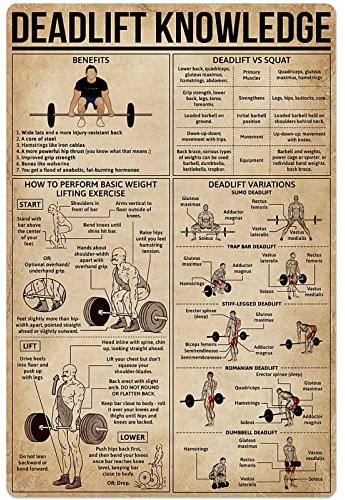 Oudrspo Deadlift Knowledge 2 Deadlift Knowledge Metallschilder Deadlift Vs Squat Difference Wanddekoration für Fitnessstudio, Clubzimmer, Fitness-Buff, Infografik, Blechposter, 30,5 x 40,6 cm