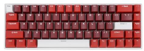 CFTGIW 60 Prozent Mechanische Tastatur 68 Tasten RGB Backlit Typ C Tragbare Kabelspieltastatur mit Rotem Switch für Computer mit USB -Anschluss Mechanisch Adoptiert Tastatur -Taste 60 Prozent