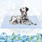 Tivray Dog Cooling Mat, 59'' × 40'' Extra Large, Self-Cooling Mat for Dog Reversible (Cool & Warm), Double-Sided Pet Cool Pads for Crate, Kennel, Machine Washable Summer Blanket, Non-Gel, Blue + Grey
