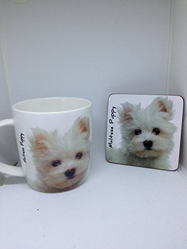 Malteser Welpen Tasse und Untersetzer Set