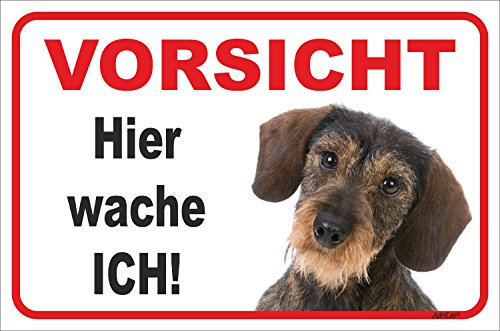 AdriLeo Schild - Vorsicht Rauhaardackel - Hier wache ich - (20x30cm) / Achtung Hund Wachhund Dackel Teckel Dachshund robust langlebig UV-beständig wetterfestes Warnschild