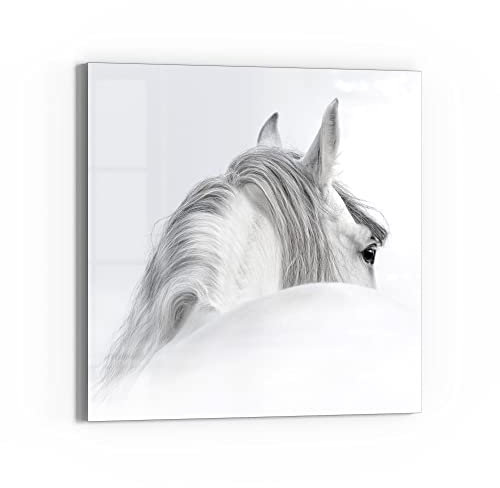 DEQORI Glas-Magnettafel | 30x30 cm groß | Motiv Andalusisches Pferd | Memo-Board aus Glas | Magnetboard inkl. Magnete, Stift & Tuch für Küche & Büro | Tafel magnetisch & beschreibbar