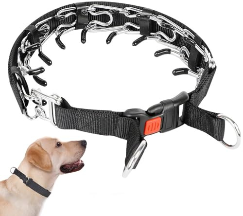 Metal Anti Bark Collar For Dog, Choke Chain For Dogs,Training Collar, With Detachable Lead Adjustable Anti Bark Collars For Pet Outdoor Training Stainless Steel Fork Collar (XXL)