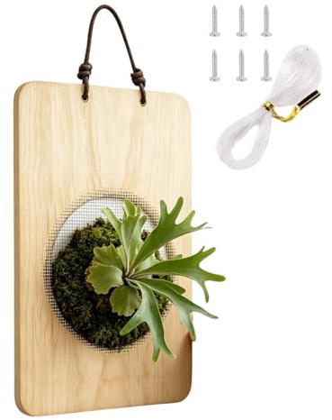 gafdu Kit Completo de Montaje para Helecho Cuerno de Alce Platycerium, Maceta Madera Natural Helecho Cuerno Alce, Macetero Colgante Pared, Apto para Dormitorio salón Porche Interior Exterior hogar