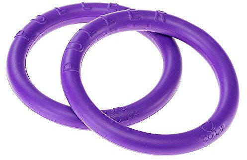 Ferplast Hunde Spielzeug, Hundetraining Ring zum Kauen, zum Laufen, Springen, Schießen, Ungiftig, Schwimmend, Puller MINI, Hundespielzeug für kleine Hunde und Welpen, Set mit 2 Fitness Ringen