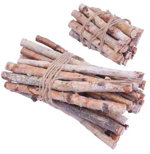 VILLFUL 40 Stück Birkenzweige Getrocknete Zweige Künstliche Kaminscheite Stäbchen Für Vasen Zur Dekoration Holzscheite Birkenscheite Zur Dekoration Holzzweige Birkenzweige