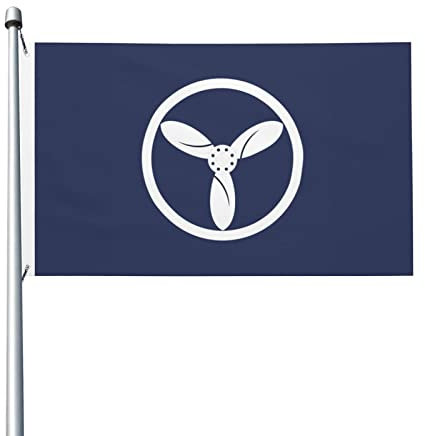 Britische Raf Or-2c-Flaggen, 90 x 150 cm, für den Außenbereich, doppelseitige Flagge, Polyester, leichte Flaggen, lustige Heimdekoration, 3 x 5 Flaggen