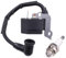 Zündspule Zündkerze Zündmodul Zündspulenmodul Motor Zündung Spule Modul für Stihl FS 38 FS45 FS55 FS 55 HS 45 FS46 FC55 HL45 KM 55 FS38 FS 45 HS45 Rasenmäher Freischneider Heckenscheren Trimmer
