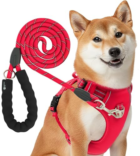 Reichstadt Pets Hundegeschirr mit Leine Set 25RSP083-4 Red S