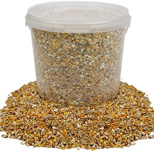 BusyBeaks No Mess Seed Mix | Garden Wild Bird Food Mixture | Husk and Shell Free Seeds | Premium Quality Balanced Formula | Protein-Rich Great Source of Energy | Attracts Various Birds (1L Tub)