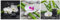 levandeo Wandbild 3er Set je 30 x 30 cm Aluminium Dibond Orchideen Bambus Steine Deko Wellness Wanddeko Einrichtung
